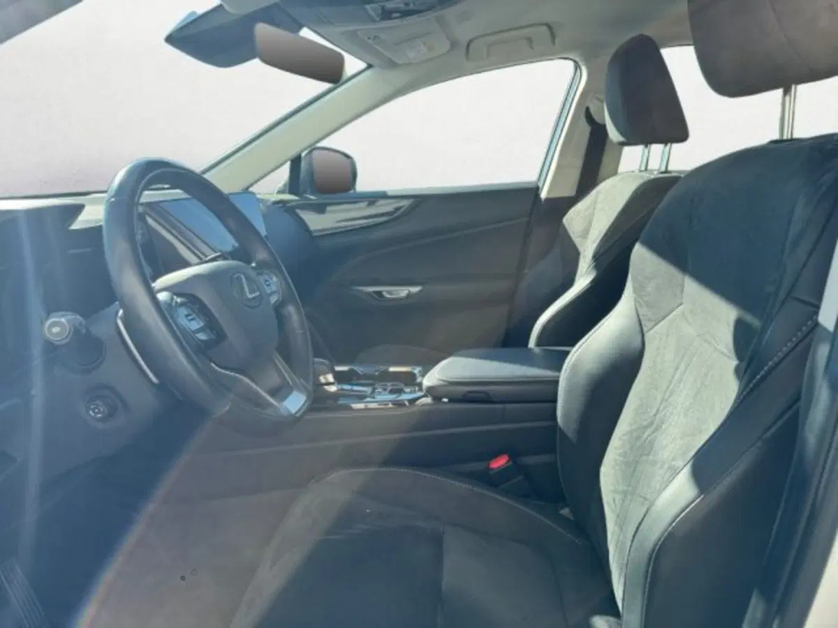 Lexus NX usata a Treviso (10)