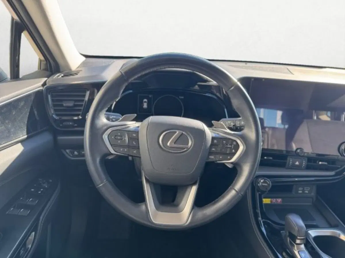 Lexus NX usata a Treviso (13)
