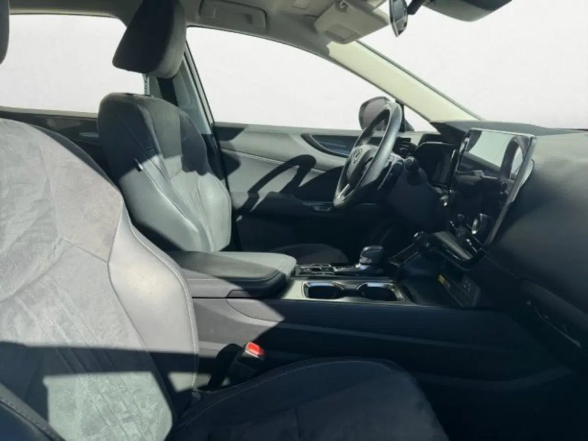 Lexus NX usata a Treviso (15)