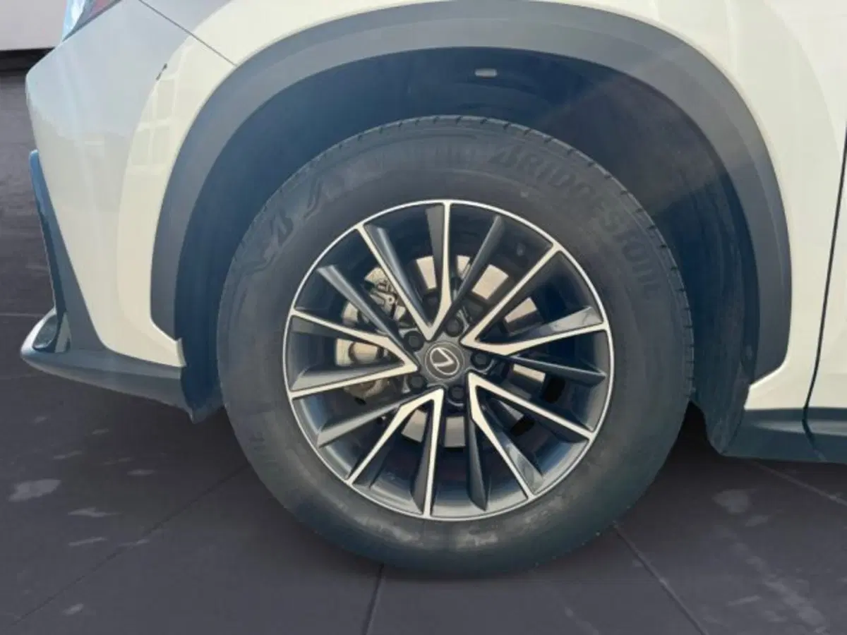 Lexus NX usata a Treviso (16)