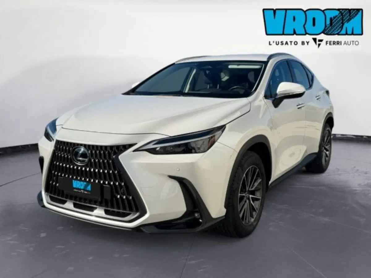 Lexus NX usata a Treviso (2)