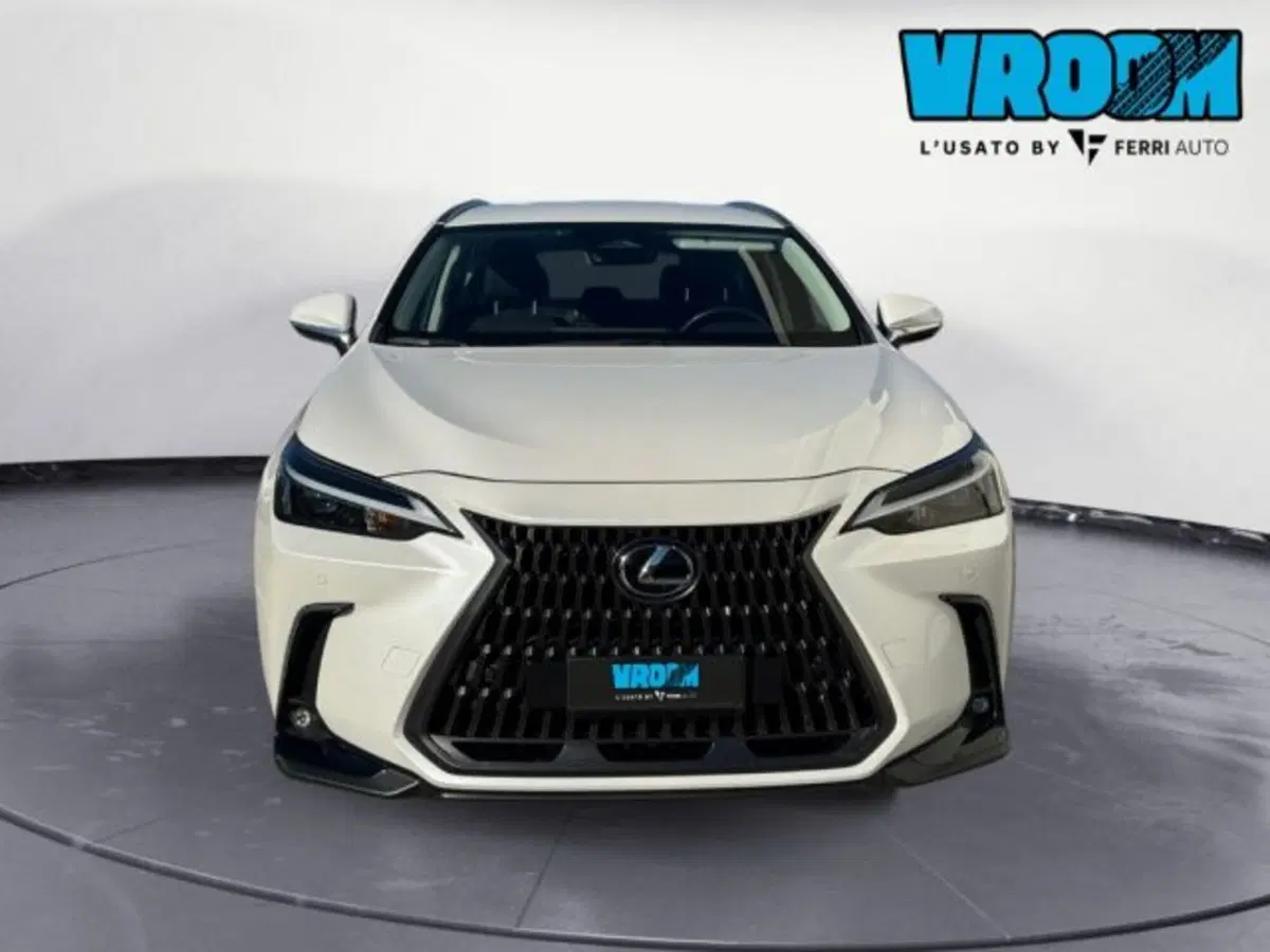 Lexus NX usata a Treviso (3)