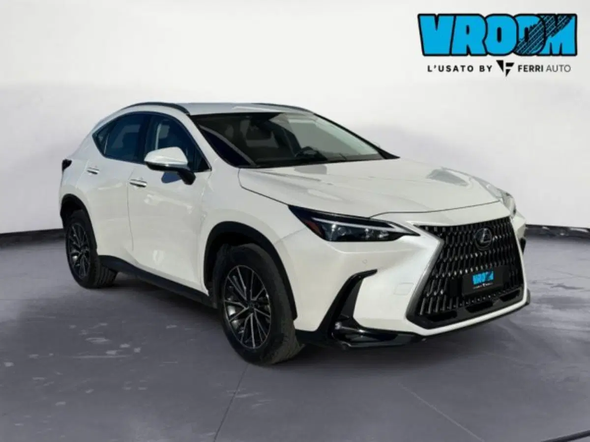 Lexus NX usata a Treviso (4)
