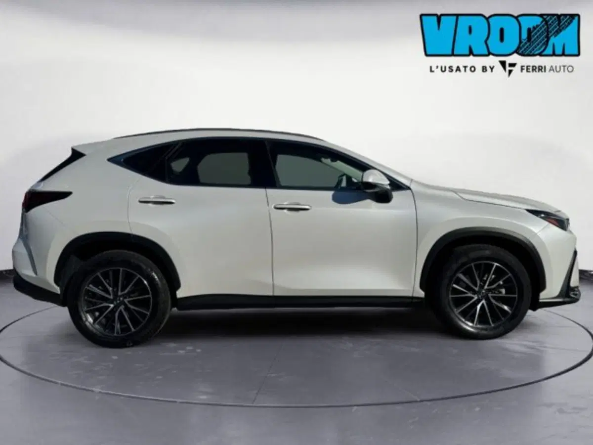 Lexus NX usata a Treviso (5)