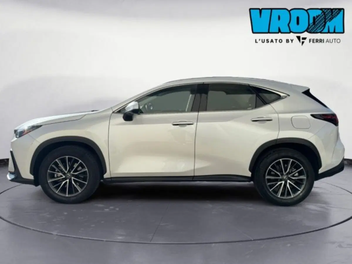 Lexus NX usata a Treviso (6)
