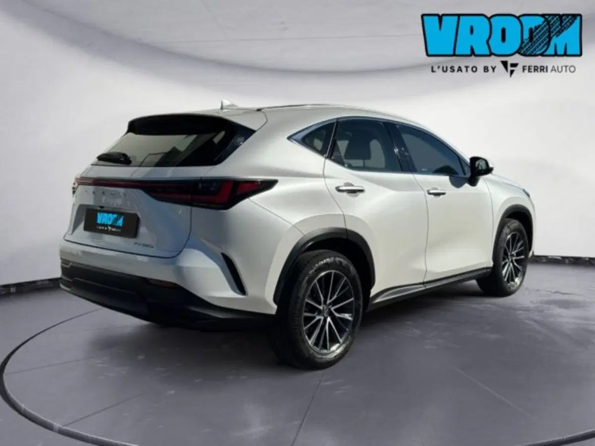 Lexus NX usata a Treviso (7)