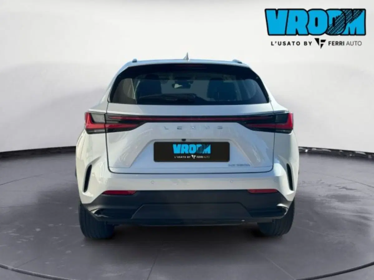 Lexus NX usata a Treviso (8)