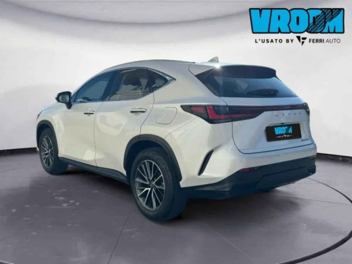 Lexus NX usata a Treviso (9)