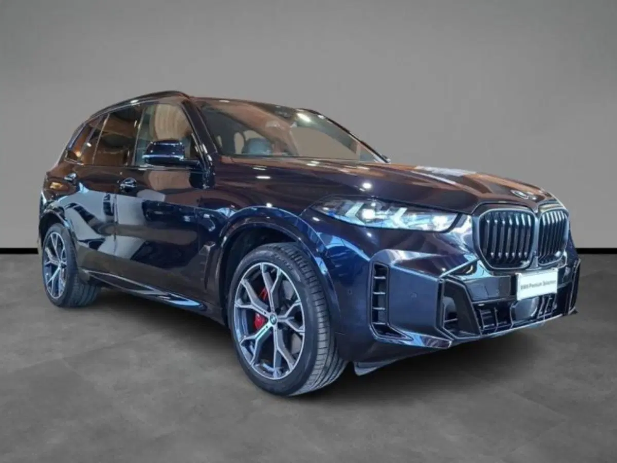 BMW X5 usata a Verona (16)