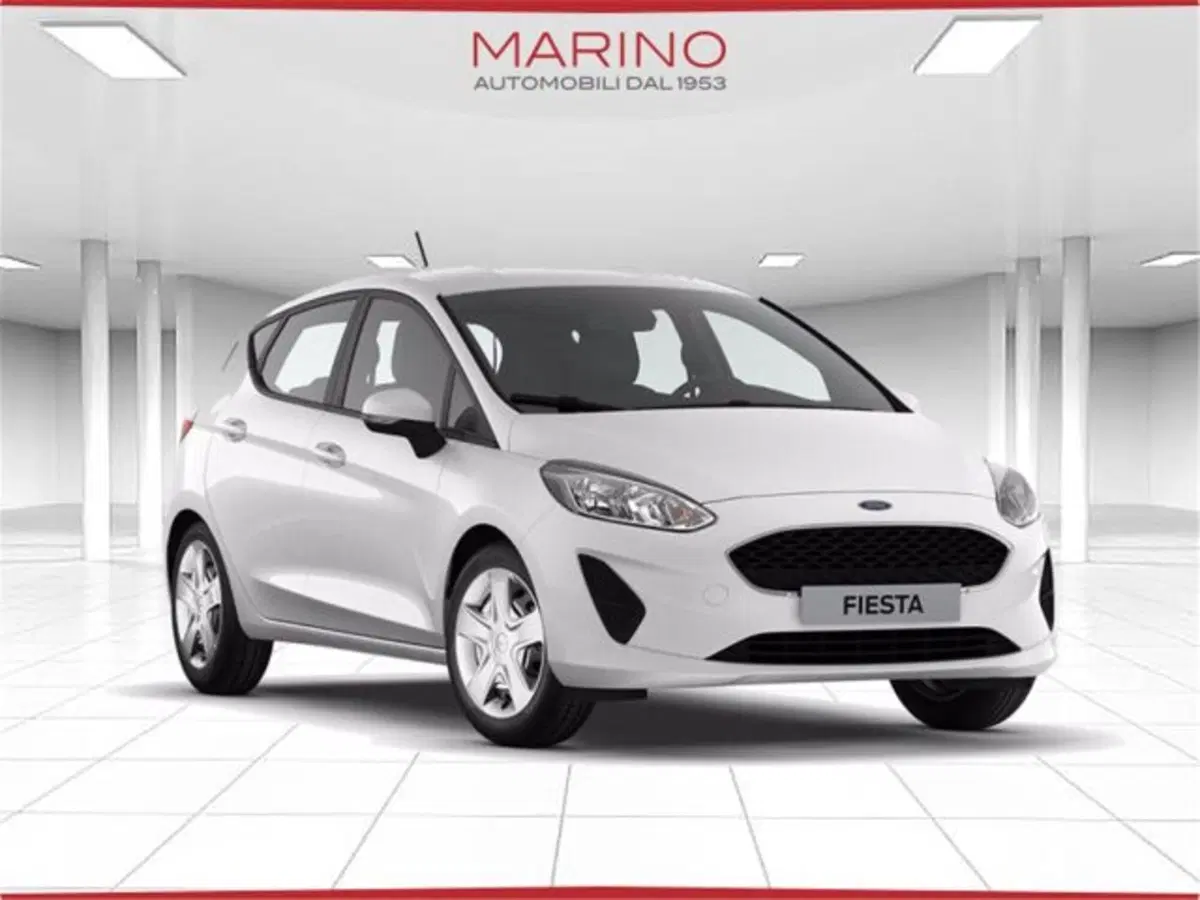 Ford Fiesta usata a Bari (19)