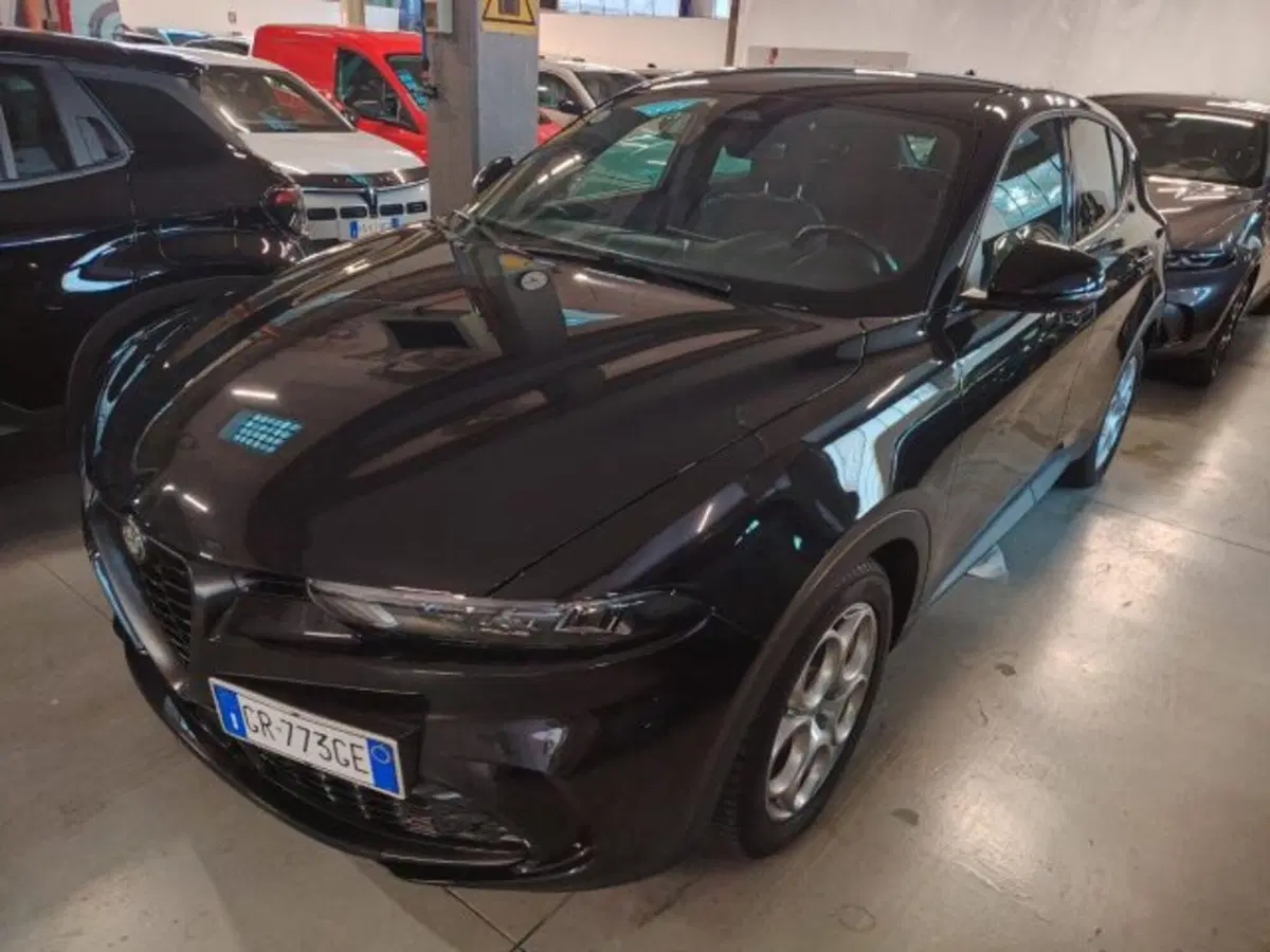 Alfa Romeo Tonale usata a Forlì-Cesena (10)