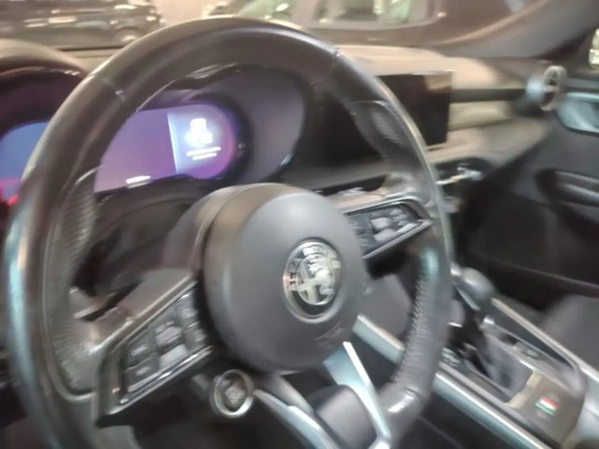 Alfa Romeo Tonale usata a Forlì-Cesena (14)