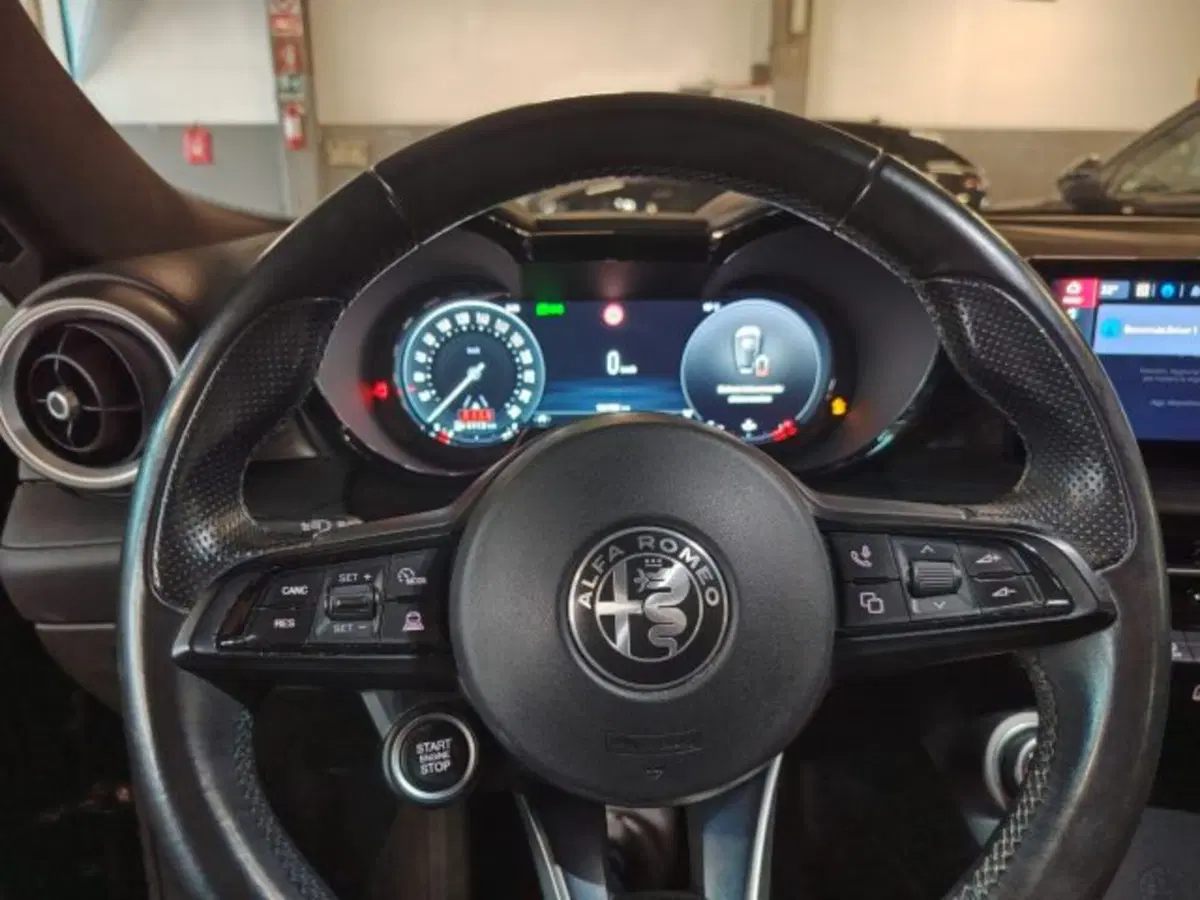 Alfa Romeo Tonale usata a Forlì-Cesena (19)