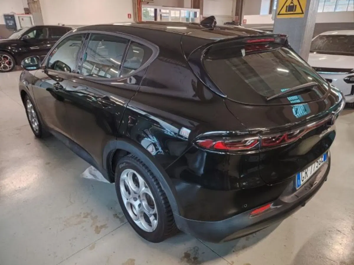 Alfa Romeo Tonale usata a Forlì-Cesena (7)