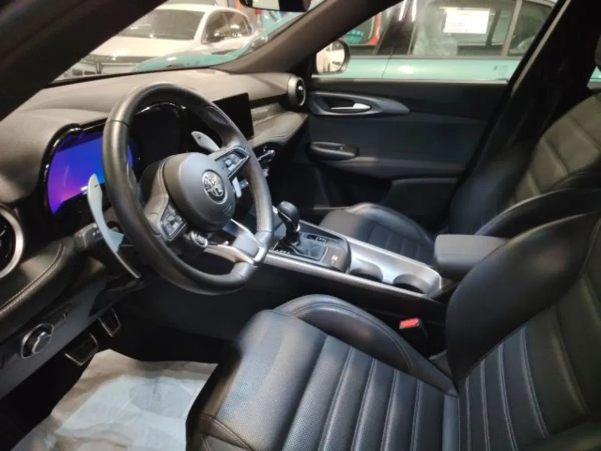 Alfa Romeo Tonale usata a Forlì-Cesena (19)