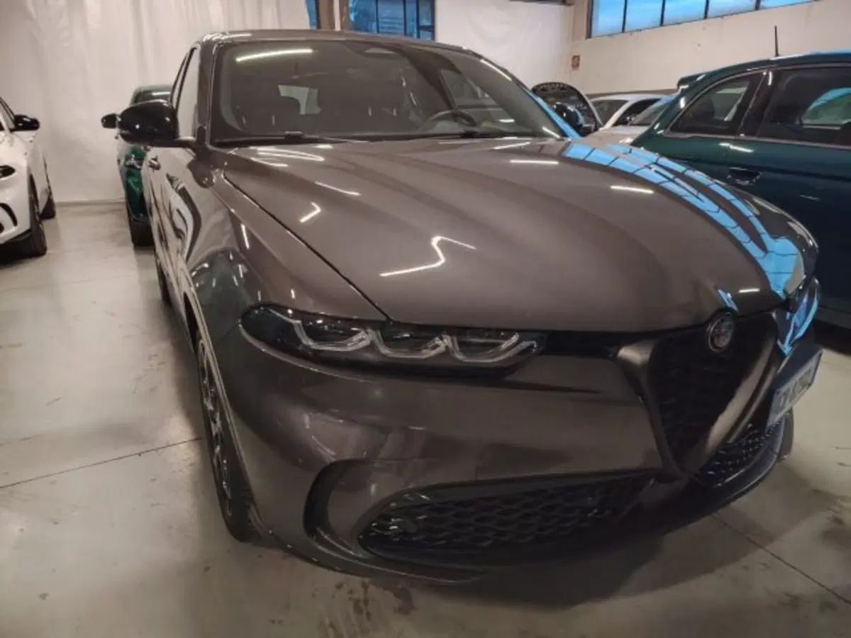 Alfa Romeo Tonale usata a Forlì-Cesena (3)