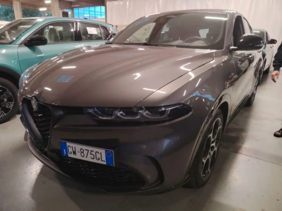 Alfa Romeo Tonale usata a Forlì-Cesena (4)
