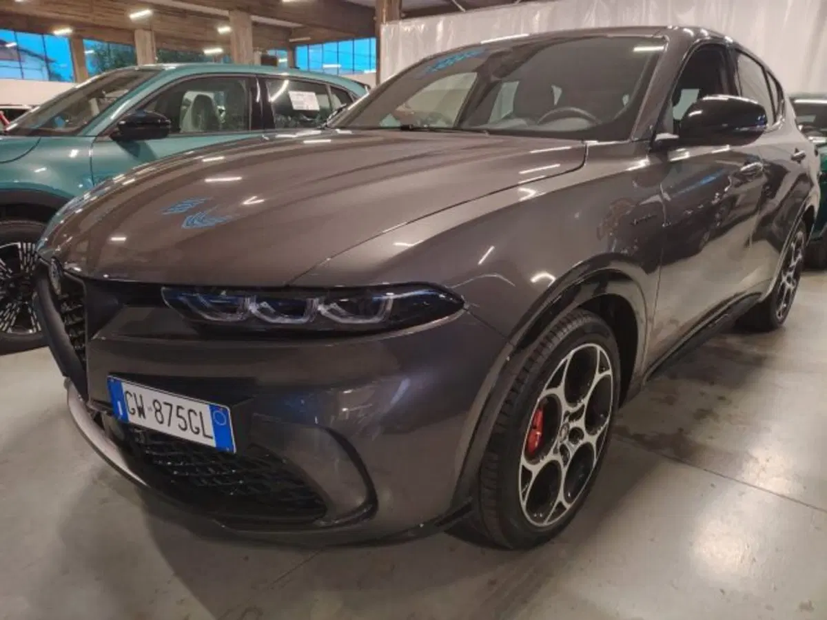 Alfa Romeo Tonale usata a Forlì-Cesena (5)