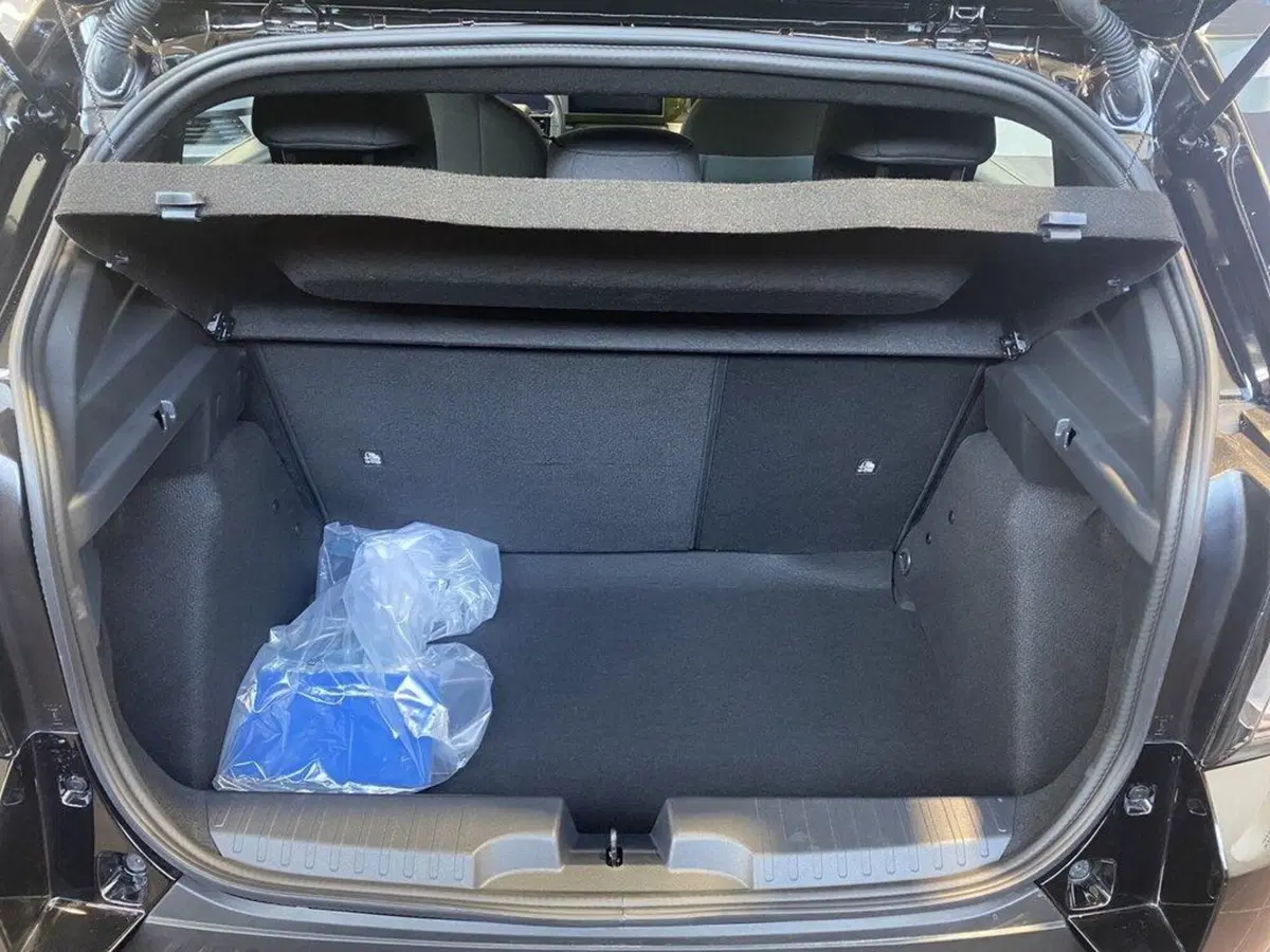 Fiat Grande Panda nuova a Torino (9)