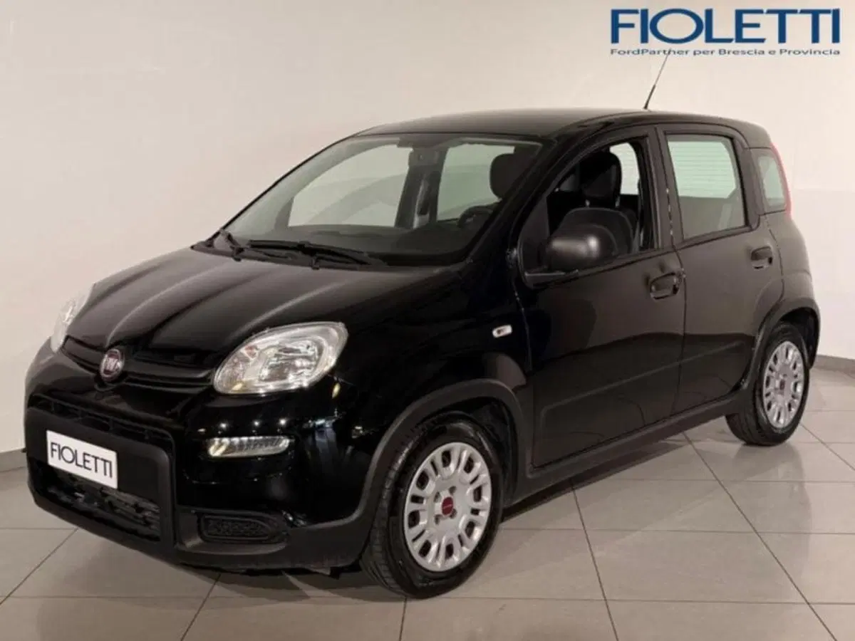 Fiat Panda Cross usata a Brescia
