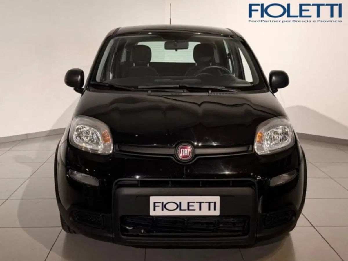 Fiat Panda Cross usata a Brescia (3)