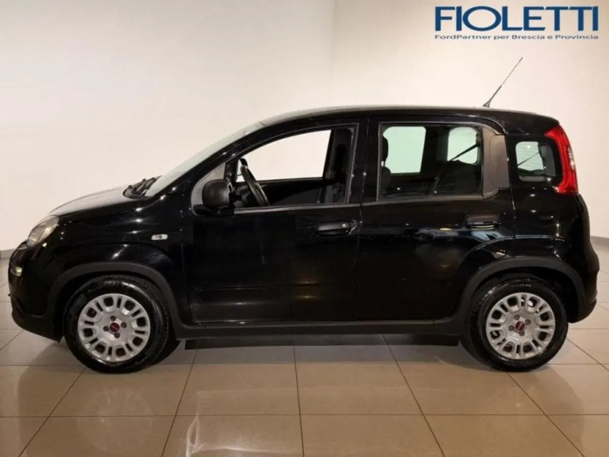 Fiat Panda Cross usata a Brescia (4)