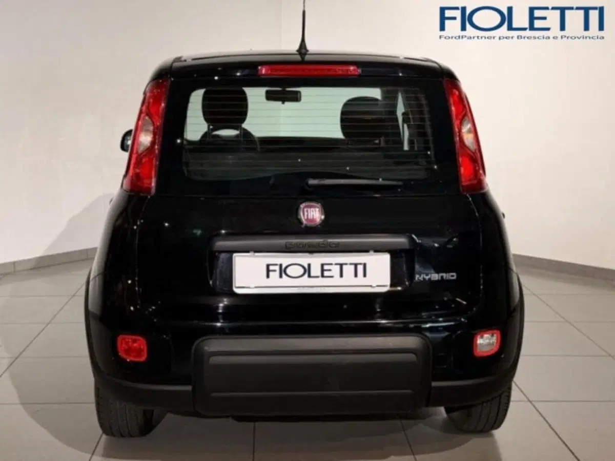 Fiat Panda Cross usata a Brescia (5)