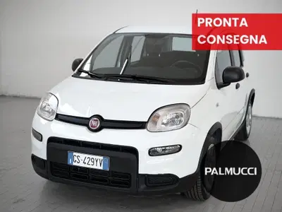 Fiat Panda Cross Cross 1.0 FireFly S&S Hybrid del 2024 usata a Prato