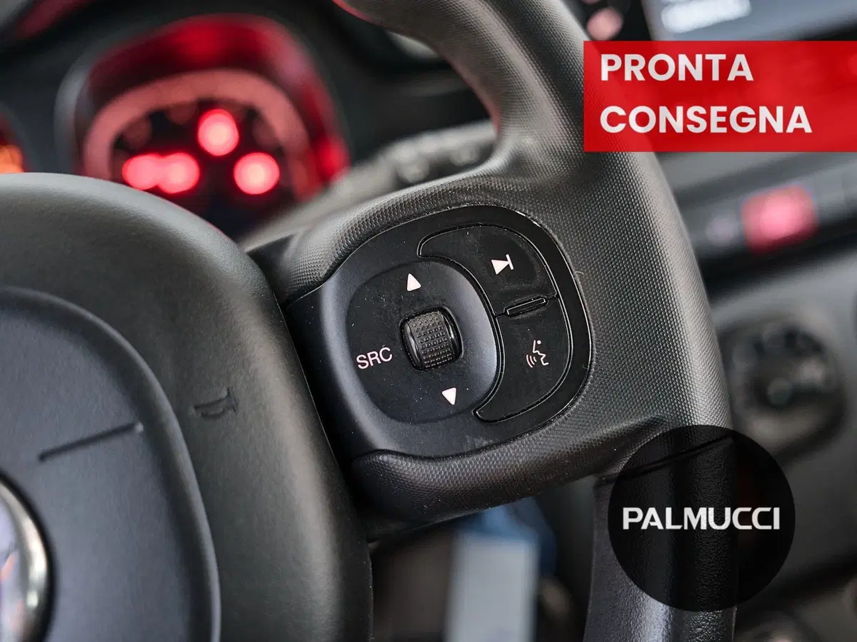 Fiat Panda Cross usata a Prato (11)