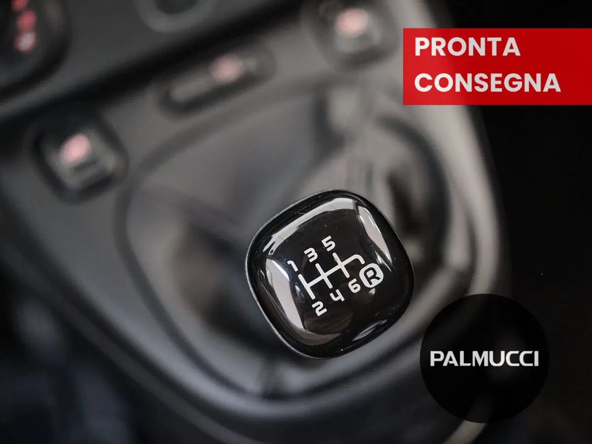 Fiat Panda Cross usata a Prato (15)
