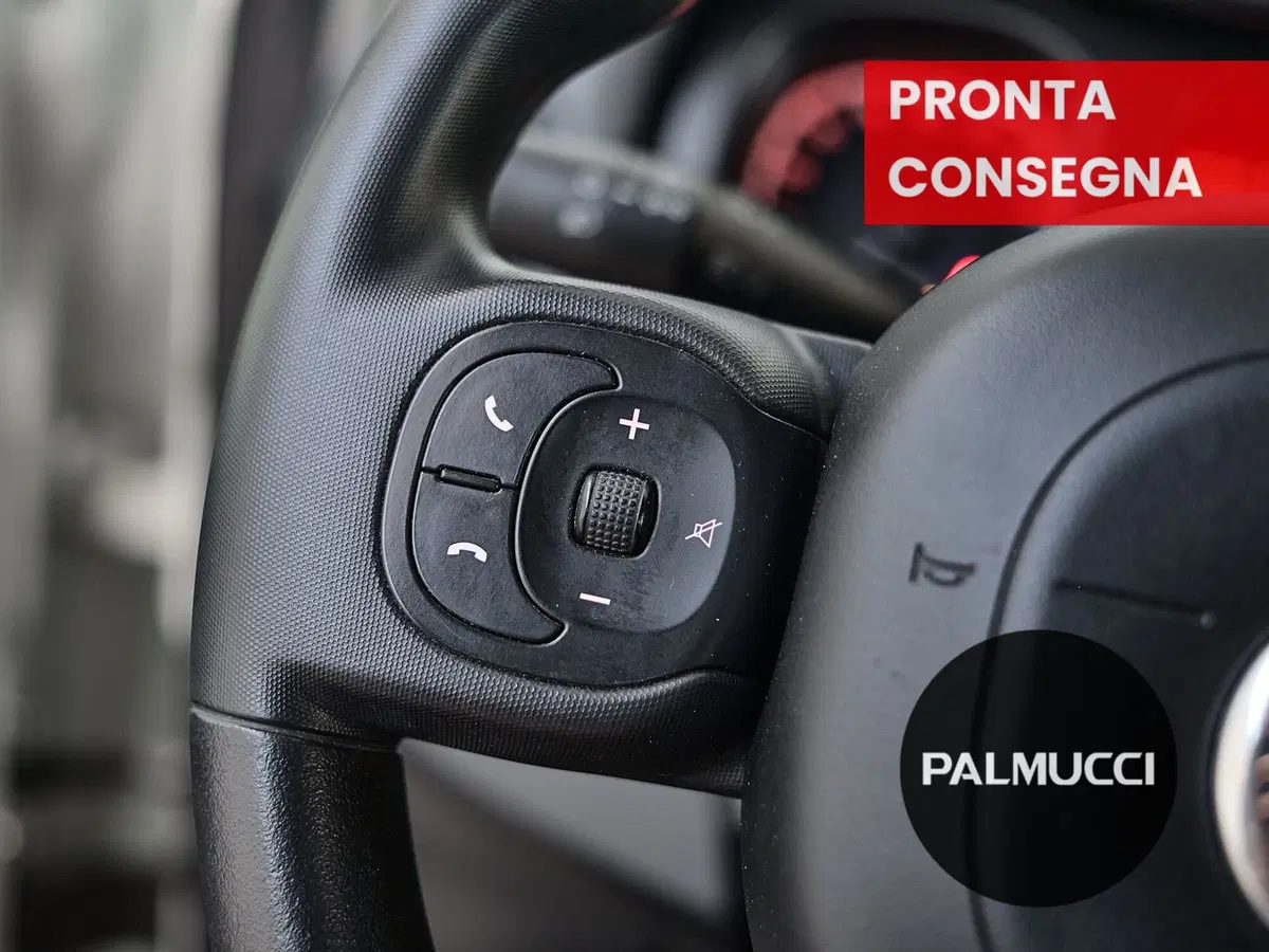 Fiat Panda Cross usata a Prato (17)