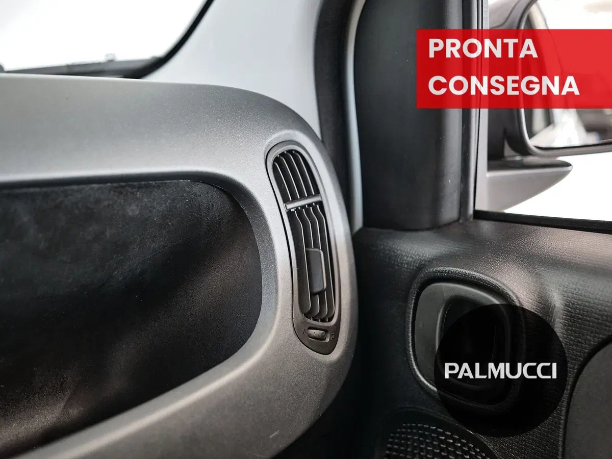 Fiat Panda Cross usata a Prato (18)