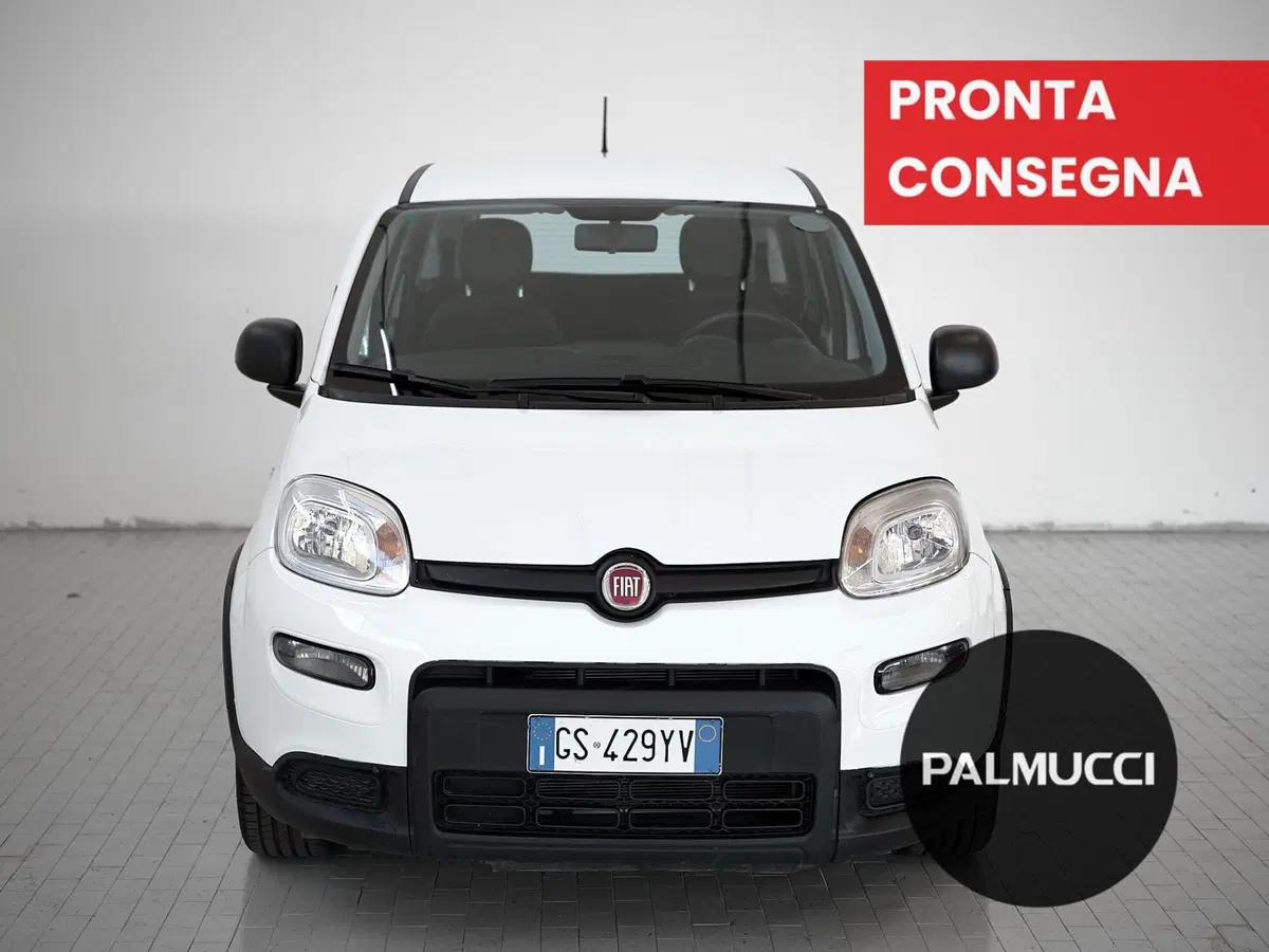 Fiat Panda Cross usata a Prato (2)