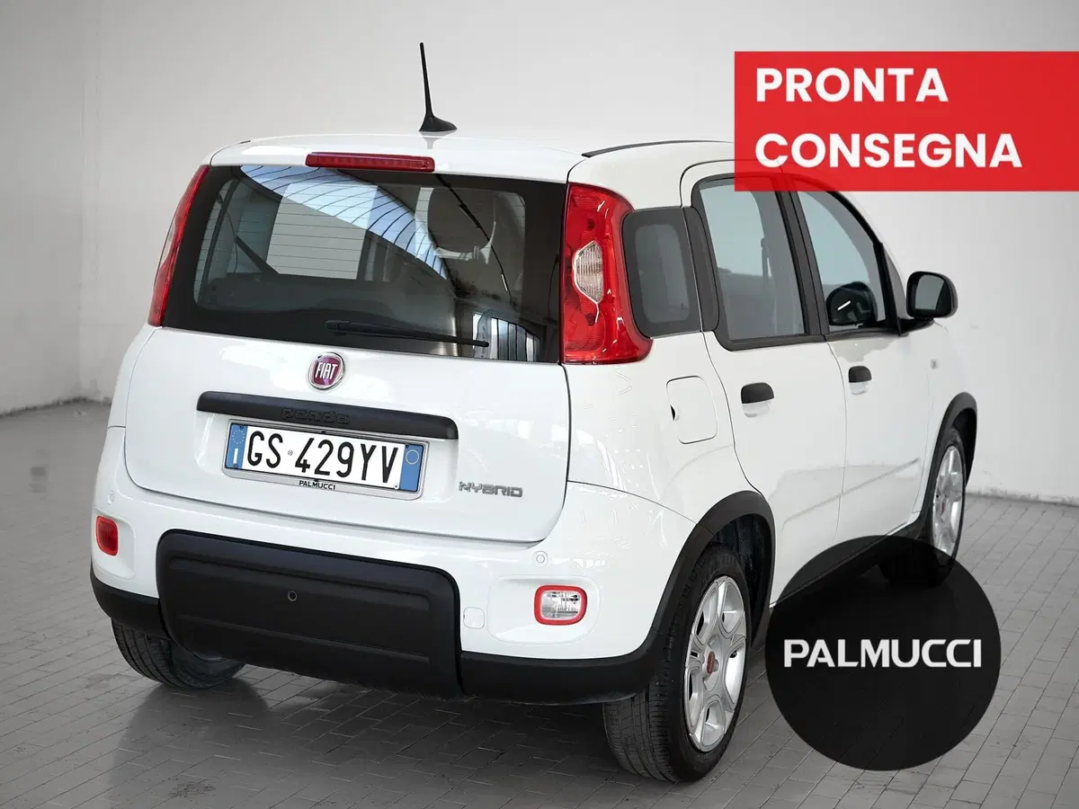 Fiat Panda Cross usata a Prato (3)