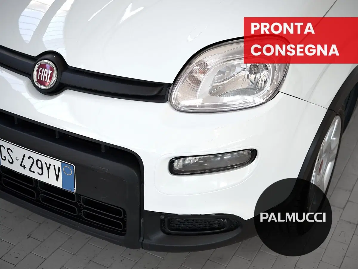 Fiat Panda Cross usata a Prato (4)