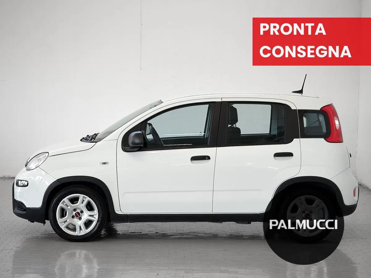 Fiat Panda Cross usata a Prato (5)