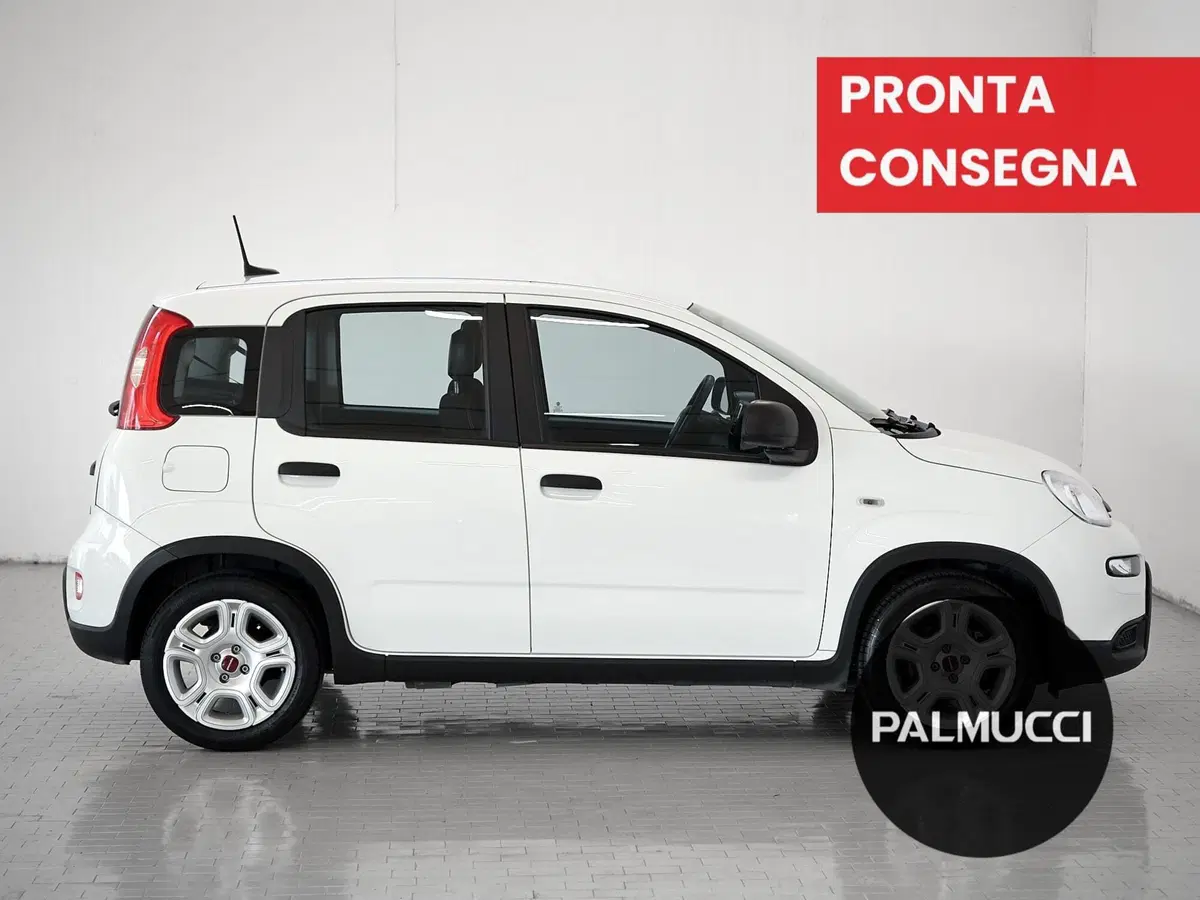 Fiat Panda Cross usata a Prato (6)