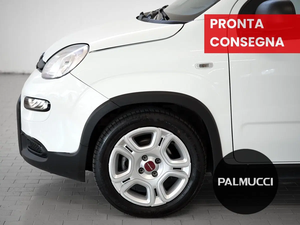 Fiat Panda Cross usata a Prato (7)