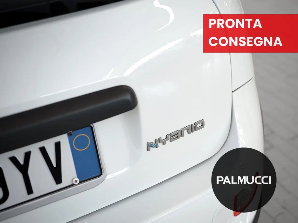 Fiat Panda Cross usata a Prato (8)