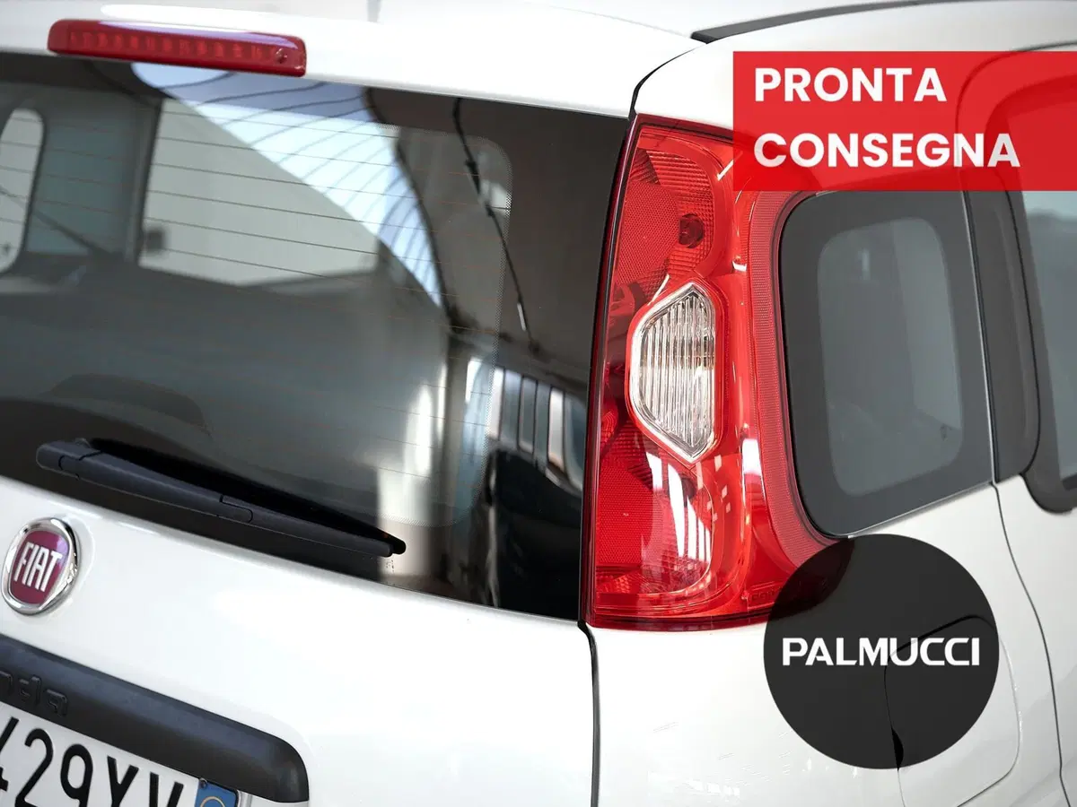 Fiat Panda Cross usata a Prato (9)