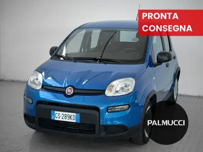 Fiat Panda Cross Cross 1.0 FireFly S&S Hybrid del 2024 usata a Prato