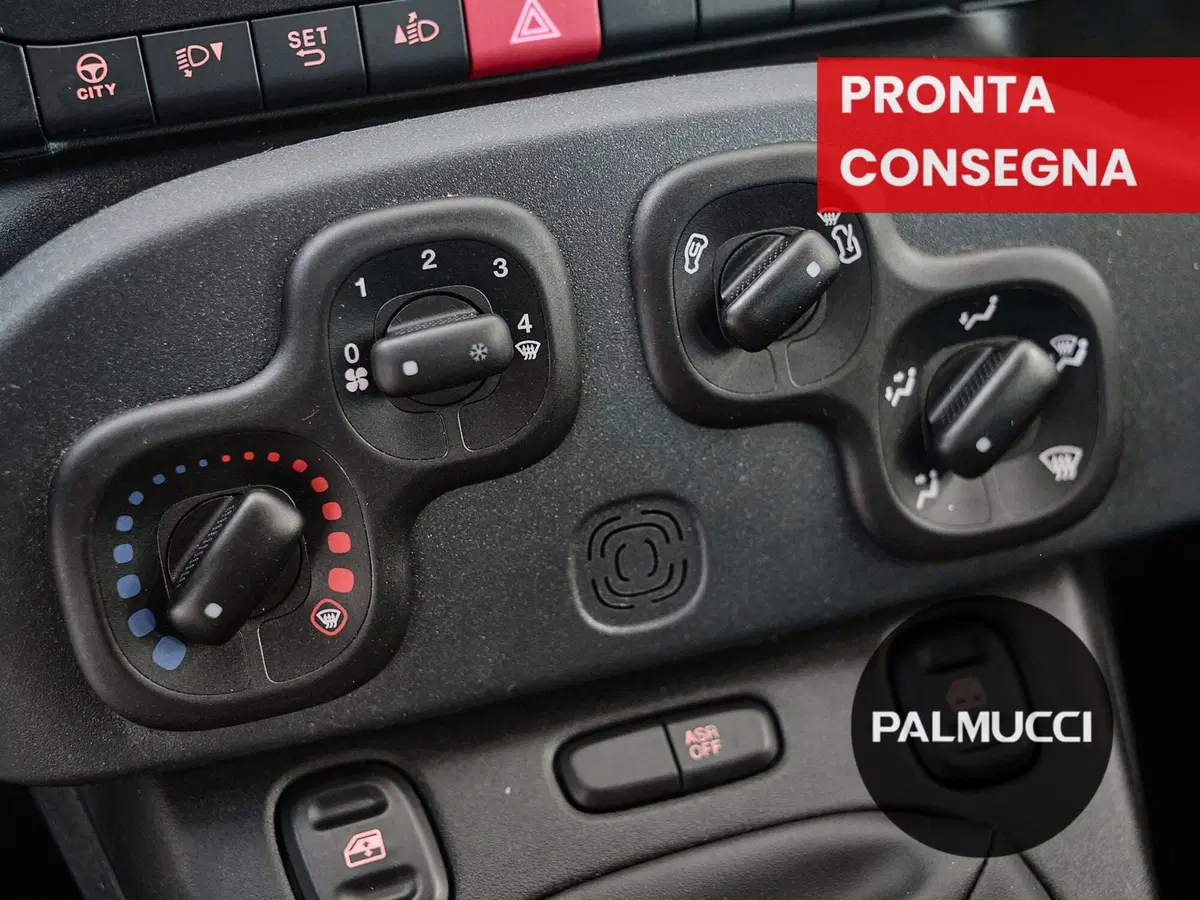 Fiat Panda Cross usata a Prato (14)