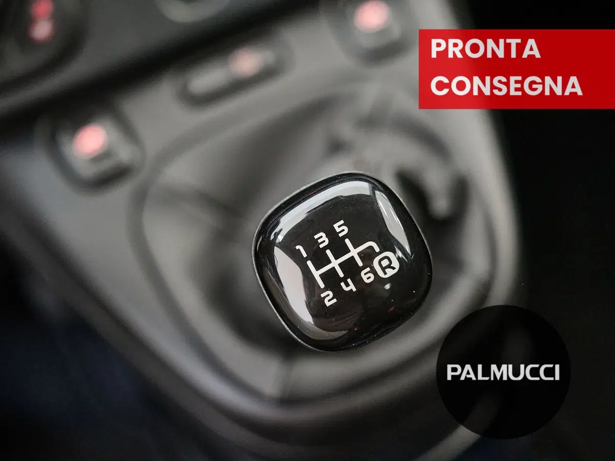 Fiat Panda Cross usata a Prato (19)