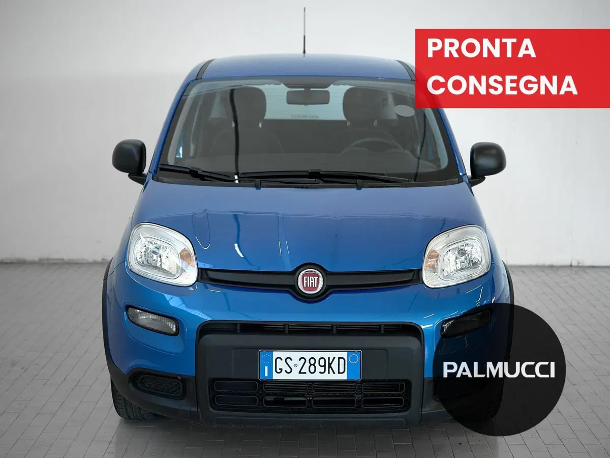 Fiat Panda Cross usata a Prato (2)
