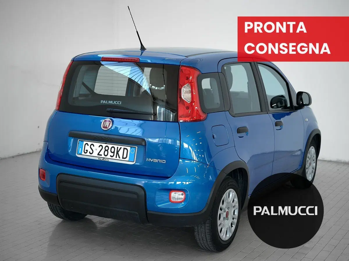 Fiat Panda Cross usata a Prato (3)