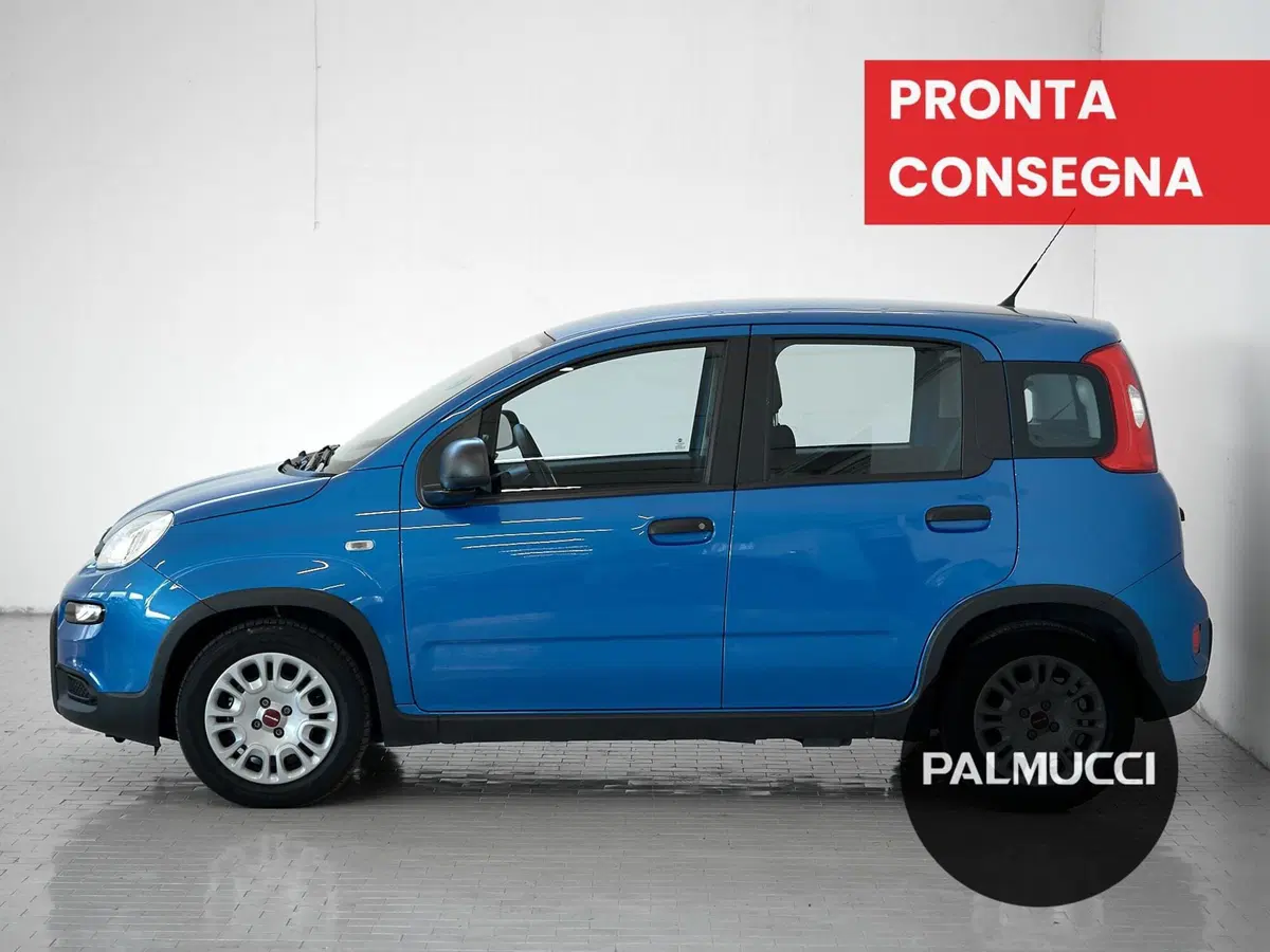 Fiat Panda Cross usata a Prato (4)