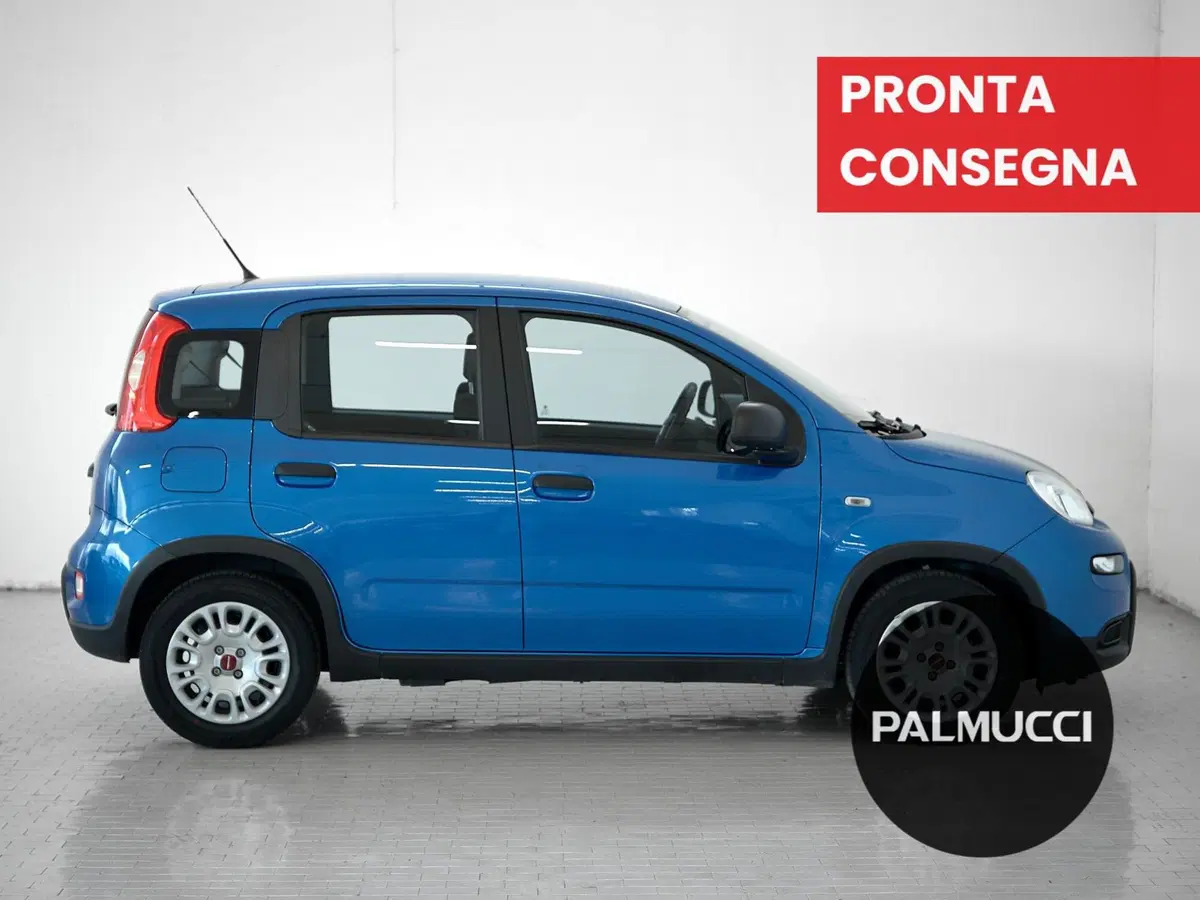 Fiat Panda Cross usata a Prato (5)