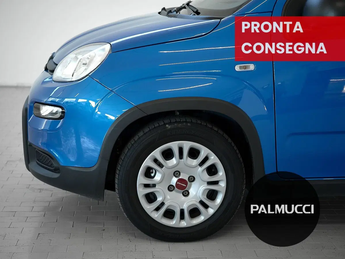 Fiat Panda Cross usata a Prato (6)