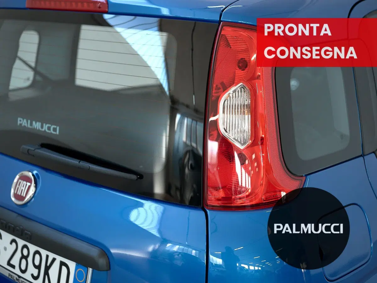 Fiat Panda Cross usata a Prato (7)