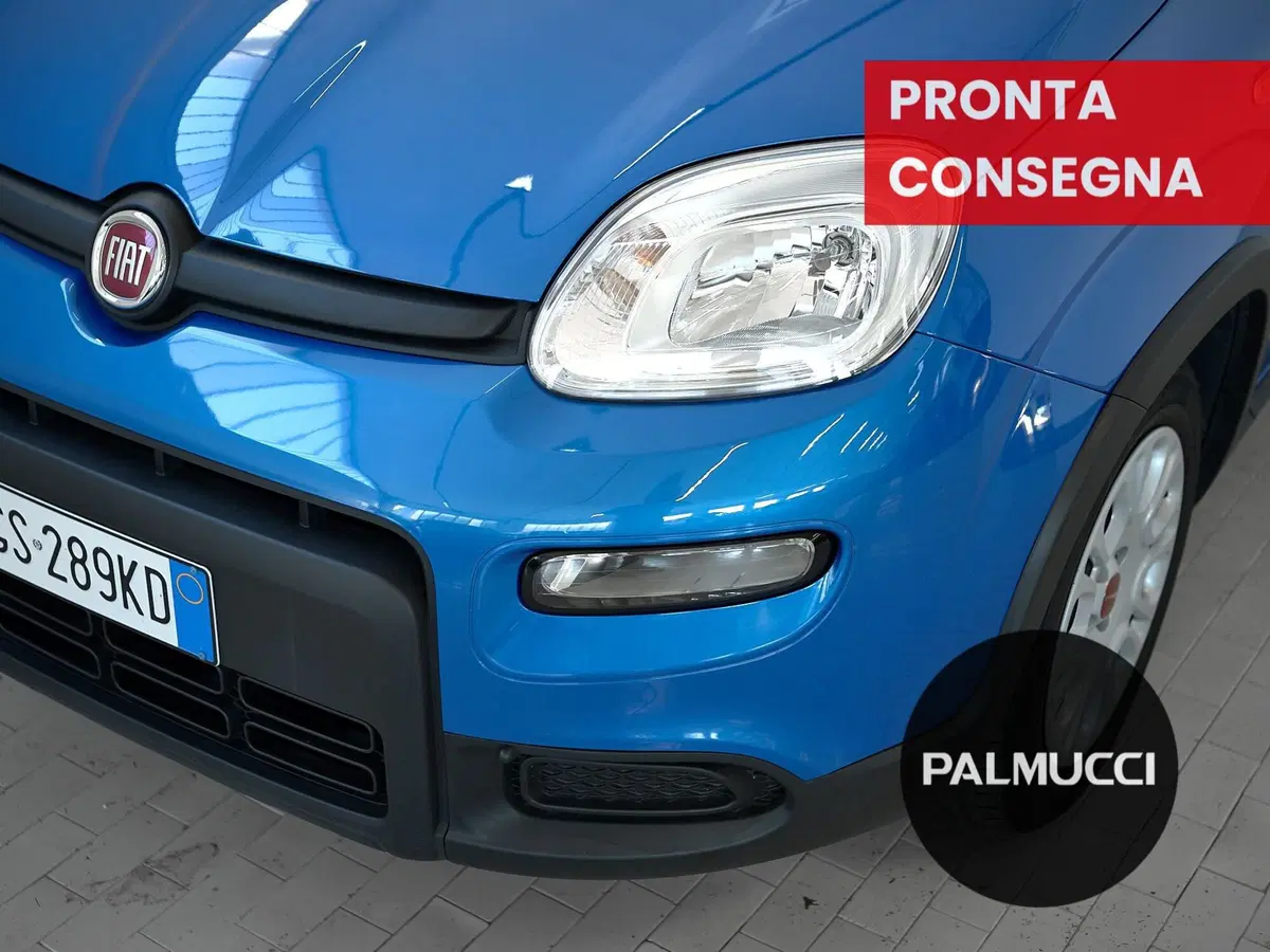 Fiat Panda Cross usata a Prato (8)